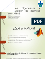 Métodos Algebraicos y Manipulación de Matrices en MATLAB