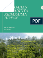 Kebakaran Hutan 10