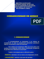 Termo de Referencia Para Elaboracao Do Plano de Gerenciamento de Residuos Solidos