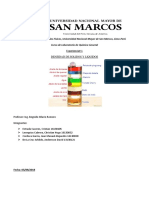 Densidad de sólidos y líquidos: medición experimental