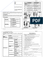 Ctbiol 2ºs Iiip