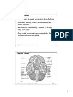 Cranial Nerves PDF