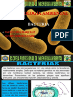 bacteriass.pptx