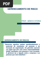 Aula 2 - Gerenciamento de Risco