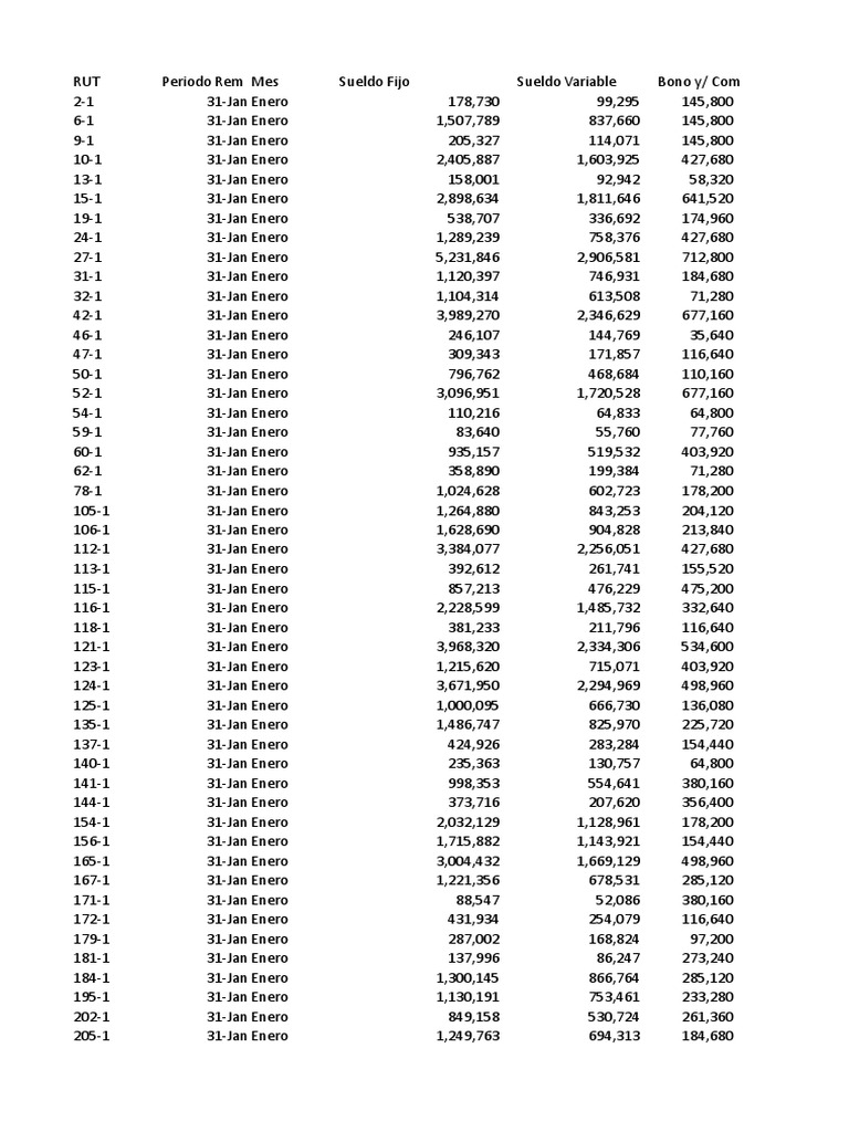 Informe de Sueldos y Bonos Enero | PDF