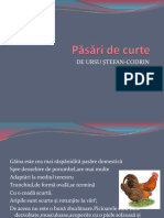 Păsări de Curte