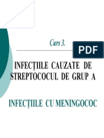 Curs3 Streptococul beta hemolitic.pdf