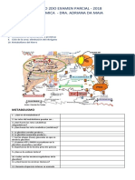 BIOQUIMICA CUESTIONARIO DE REPASO ALUMNOS 2da PARCIAL 2018