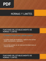 Presentación Normas y Limites