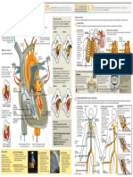 2010 Cirugia Valvular PDF