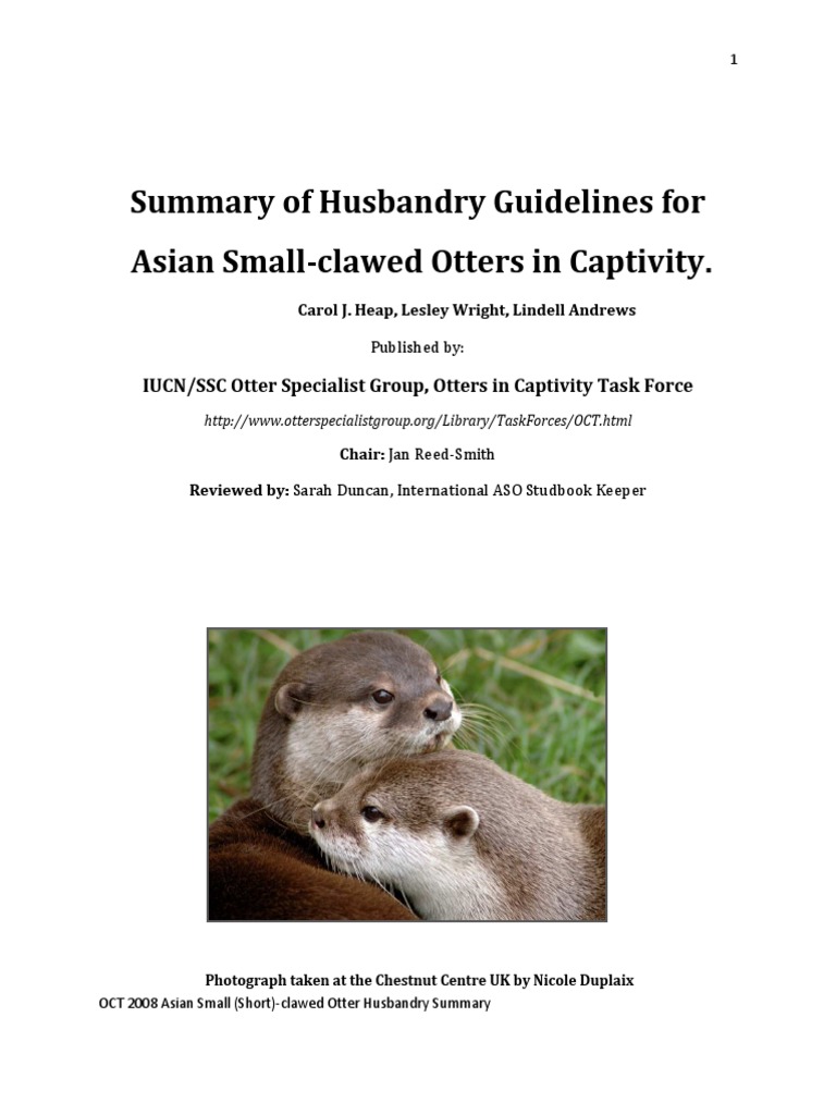 Summary of Husbandry Guidelines For Asian Short Clawed Otter | PDF