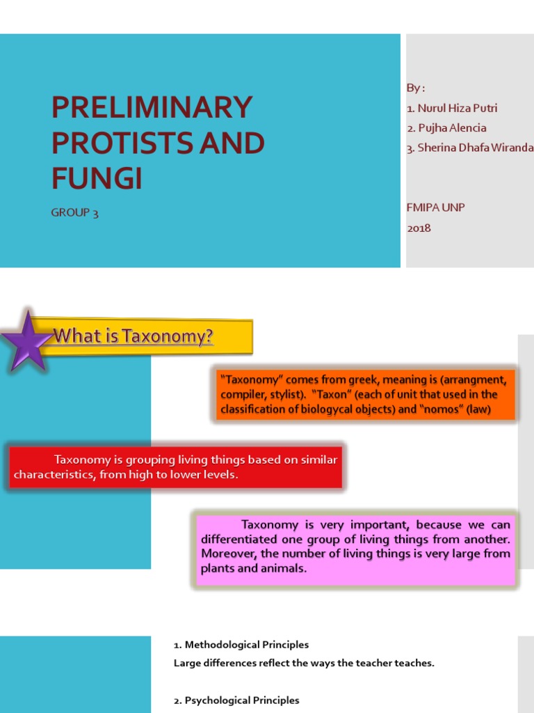 Protists and Fungi: Taxonomy Basics | PDF | Fungus | Algae