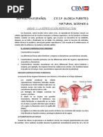 Datos para Niños - Mantarraya Información y Características | PDF ...