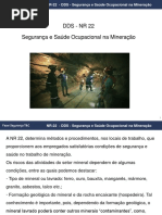 DDS_NR22_mineracao.pdf