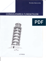 2009, Consolidarea Fundatiilor, A. Popa, N. M. Ilies