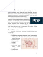 Referat Endometriosis