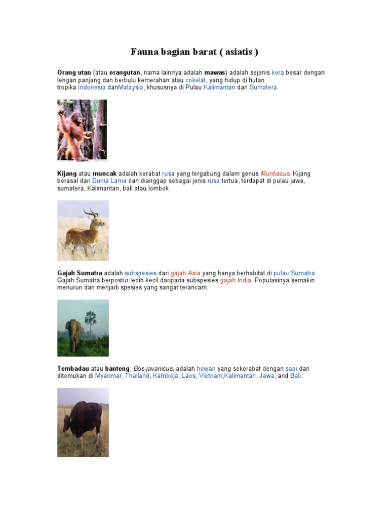 Gambar Peta Persebaran Flora Dan Fauna Di Indonesia ...