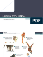 Manap Trianto - Evolusi Evolusi Manusia