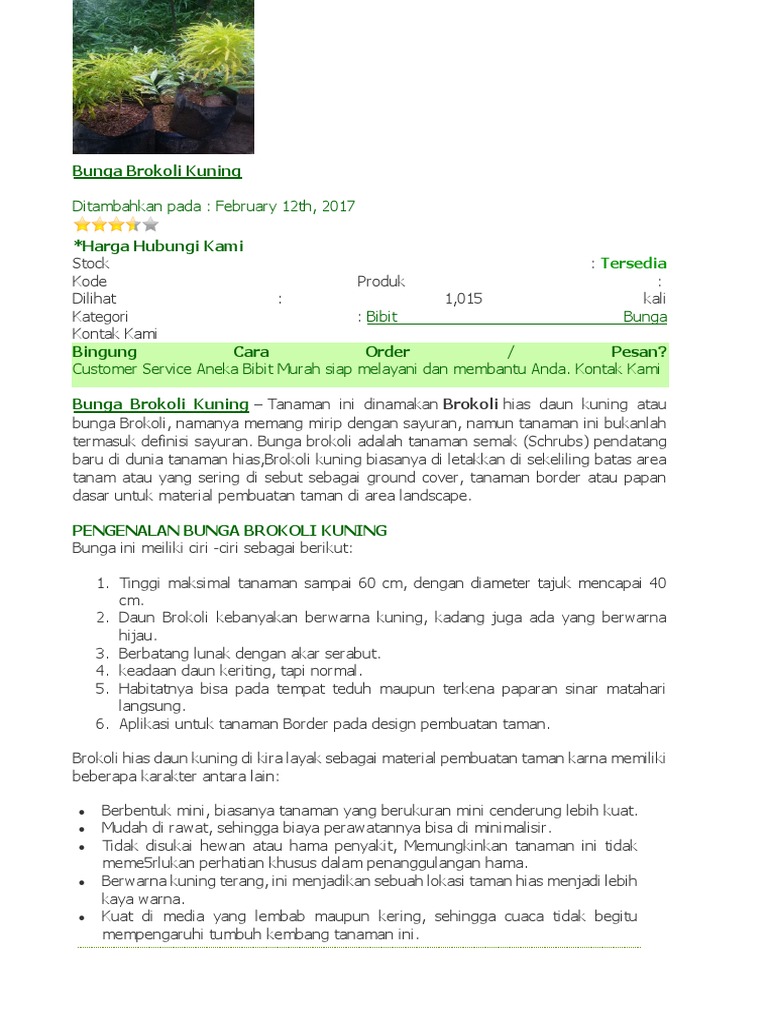 Bunga Brokoli Kuning Docx