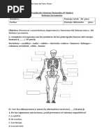 Prueba Sistema Locomotor