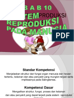 10 Sist Reproduksi