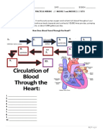 1St Long Quiz /// Practical Nursing /// Module 1 and Module 2 /// Set B Fill in The Missing Words