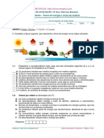 Ficha de Avaliação - fluxos de energia.pdf