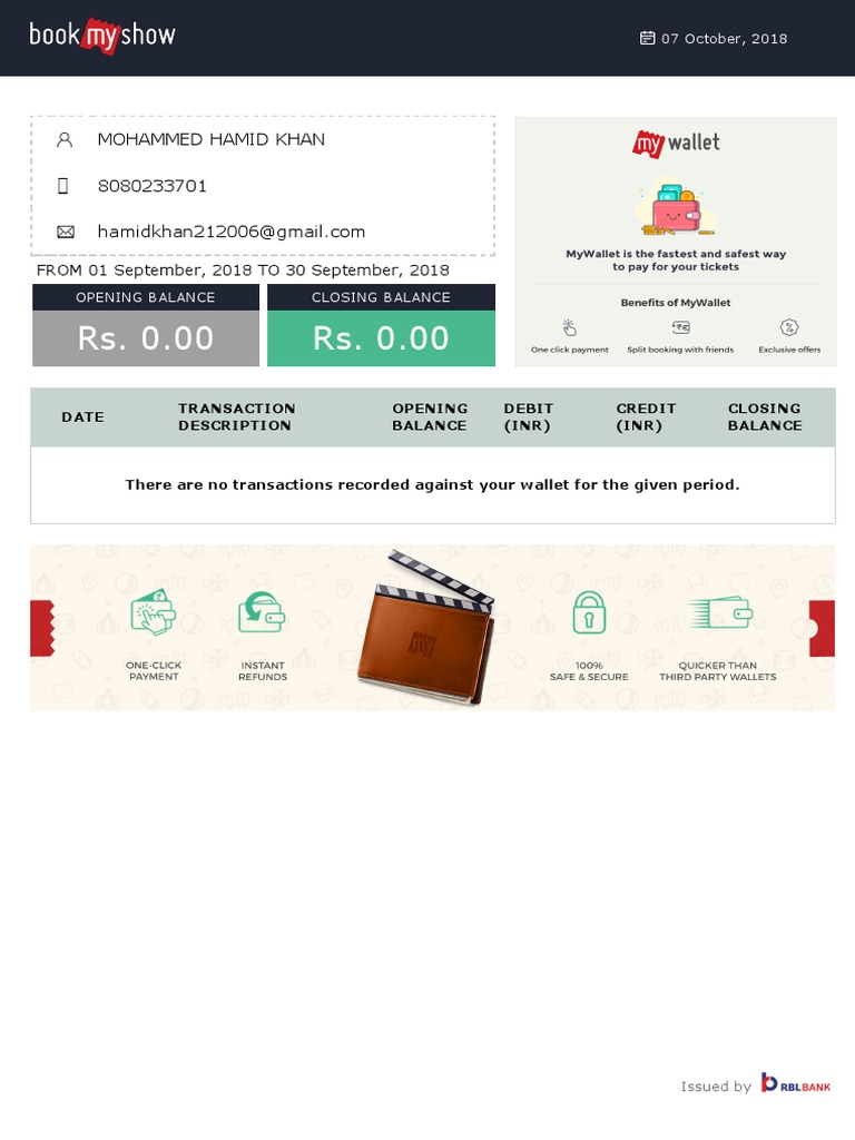 Wallet Statement: No Transactions Report | PDF