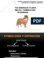 1._Introduccion_a_la_Anatomia(3).pptx