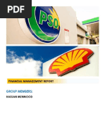 PSO Shell Report - Financial Management