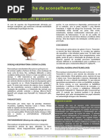 23 Doenças Das Aves de Capoeira