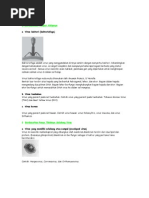 Download Klasifikasi Virus by Nawang Wahyu W SN39031904 doc pdf