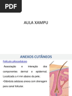 Aula Xampu