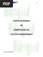 Cultivo Hidropônico