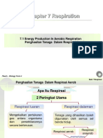 Chapter 7 Respiration