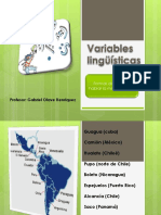 Variableslinguisticas 141105071141 Conversion Gate01 PDF