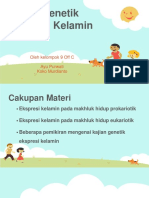 Kajian Genetik Kelamin Kelompok 9