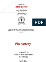 Biobattery 21