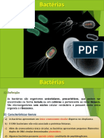 Bactérias.pdf