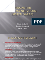 Pengantar Sistem Saraf & Cortex Cerebri, Risal SNC 1