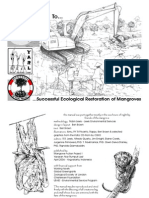 5 Steps to Successful Ecological Restoration of Mangroves