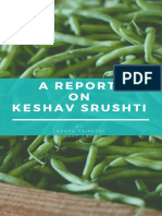 A Report ON Keshav Srushti: BY-Abhya Tripathi C S T - 3 4 7