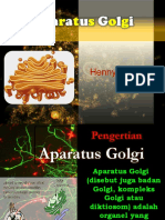 Aparatus Golgi