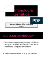Terminología Genética 