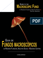 Guia de Fungos (preliminar)_Standard.pdf