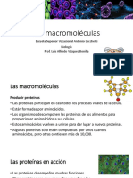 Las Macromoléculas: Escuela Superior Vocacional Antonio Lucchetti Biología Prof. Luis Alfredo Vázquez Bonilla