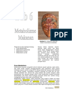 Bb6-Metabolisme.pdf