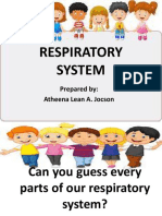 Respiratory System