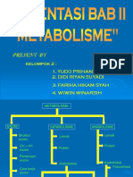 Metabolism e