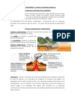 4º Básico Ciencias Guía y Solucionario #1 Agosto PDF